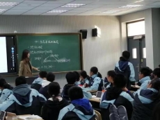 杨